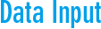 Data Input